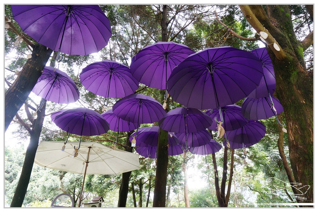 [國內趴趴走。北部]新竹尖石｜薰衣草森林快閃再訪。玫瑰冰淇淋超夢幻好吃！