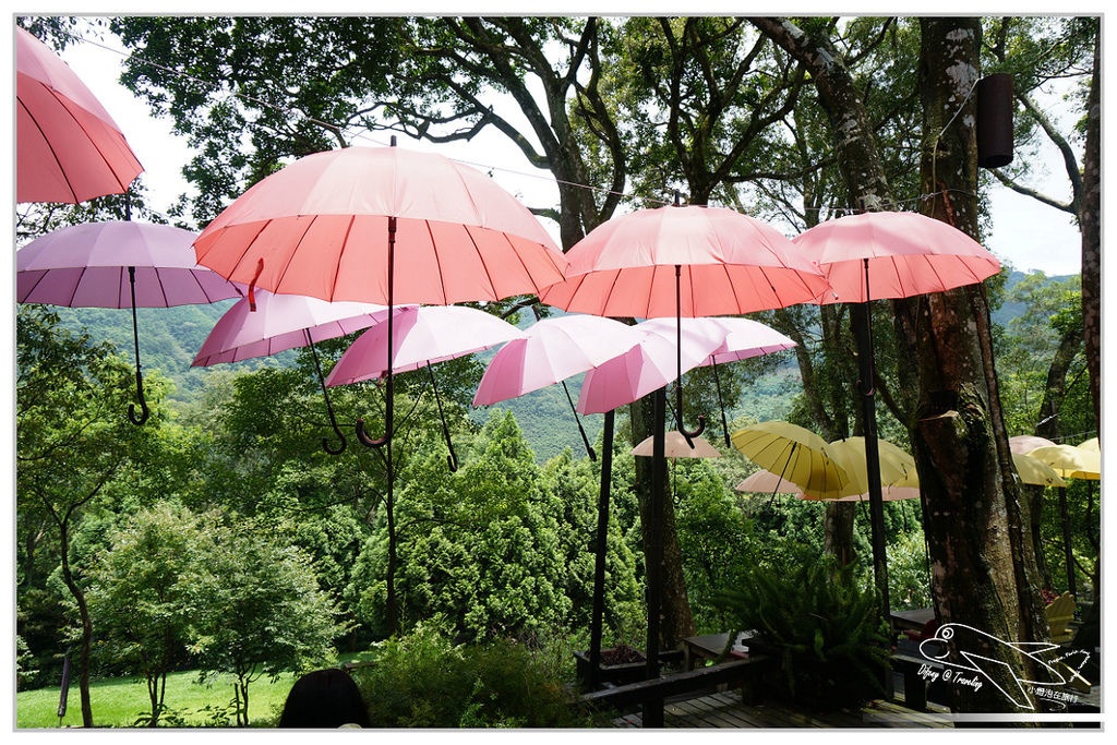 [國內趴趴走。北部]新竹尖石｜薰衣草森林快閃再訪。玫瑰冰淇淋超夢幻好吃！