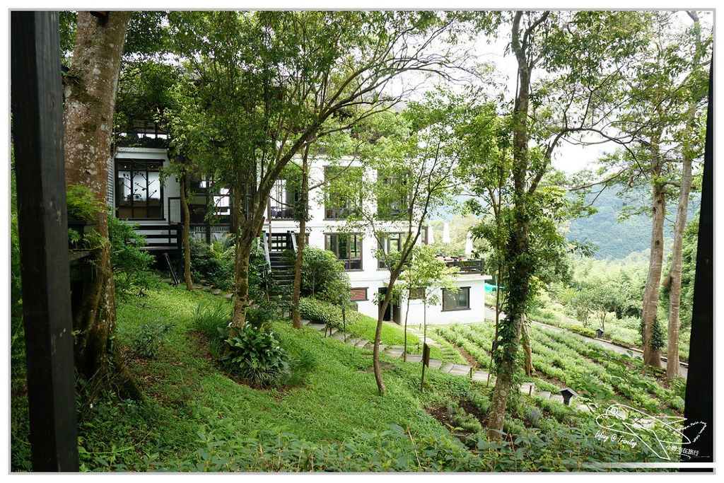 [國內趴趴走。北部]新竹尖石｜薰衣草森林快閃再訪。玫瑰冰淇淋超夢幻好吃！