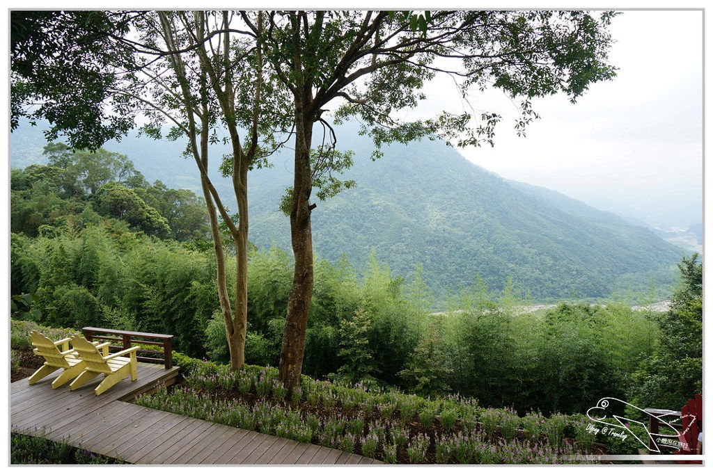 [國內趴趴走。北部]新竹尖石｜薰衣草森林快閃再訪。玫瑰冰淇淋超夢幻好吃！