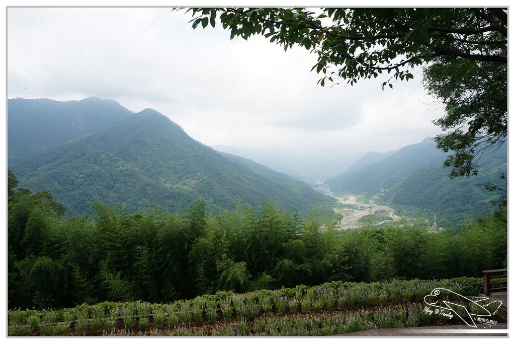 [國內趴趴走。北部]新竹尖石｜薰衣草森林快閃再訪。玫瑰冰淇淋超夢幻好吃！