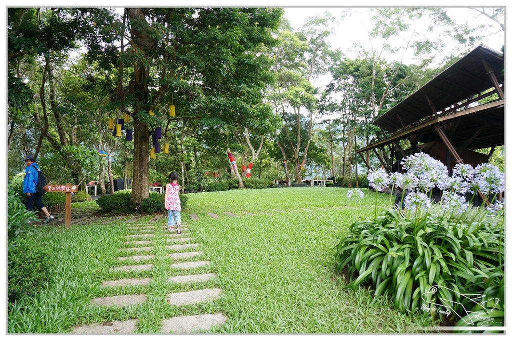 [國內趴趴走。北部]新竹尖石｜薰衣草森林快閃再訪。玫瑰冰淇淋超夢幻好吃！