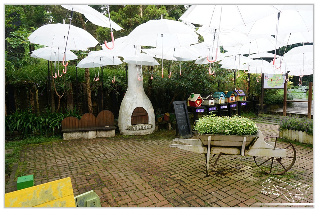 [國內趴趴走。北部]新竹尖石｜薰衣草森林快閃再訪。玫瑰冰淇淋超夢幻好吃！