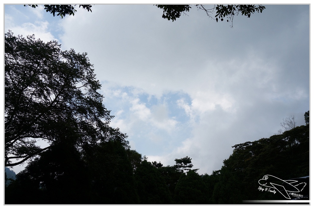 [國內趴趴走。北部]新竹尖石｜薰衣草森林快閃再訪。玫瑰冰淇淋超夢幻好吃！