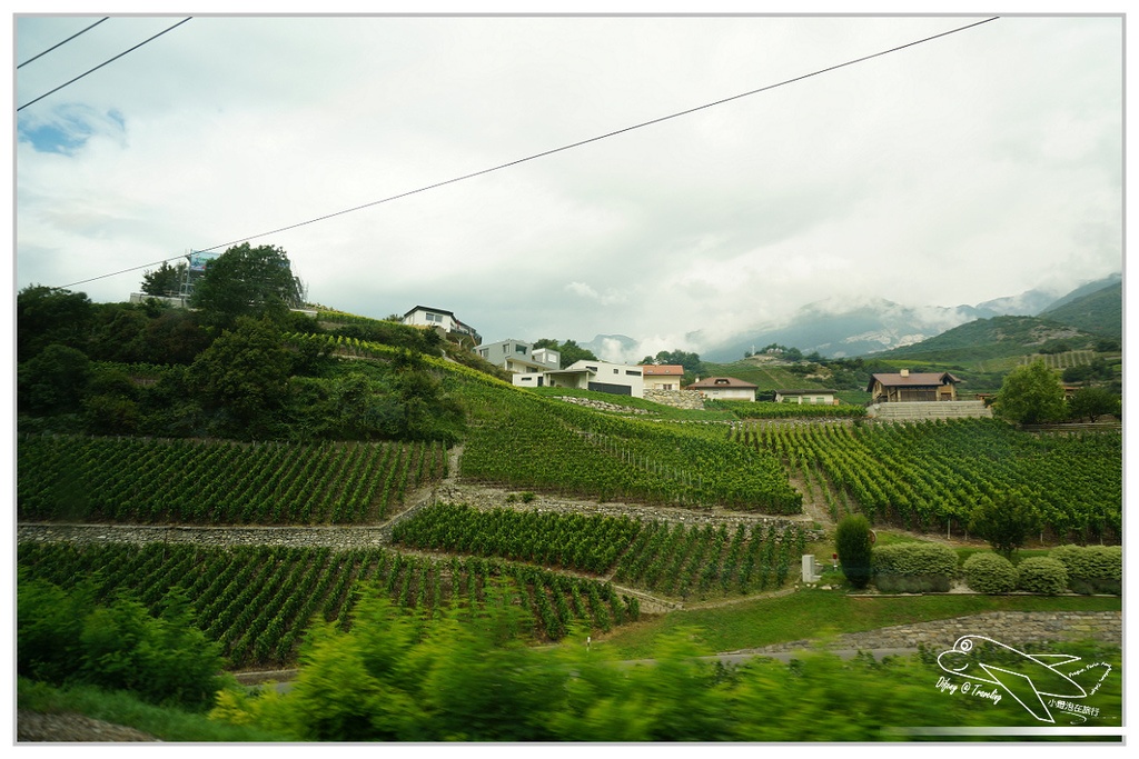 [2014歐洲火車旅行達人]歐鐵pass記旅day5。zermatt–Montreux–vevey–Lausanne–pully。拉沃地區。瑞士自助
