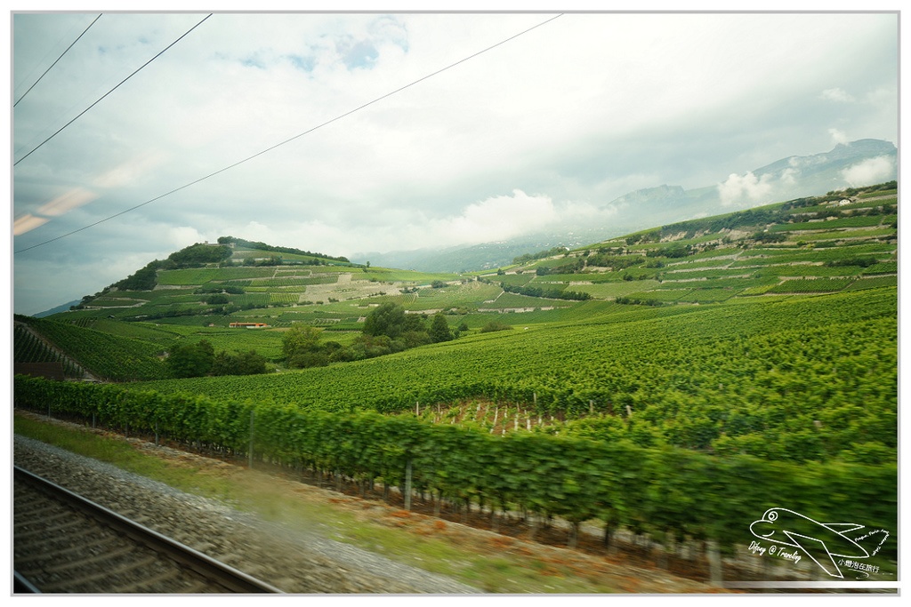 [2014歐洲火車旅行達人]歐鐵pass記旅day5。zermatt–Montreux–vevey–Lausanne–pully。拉沃地區。瑞士自助