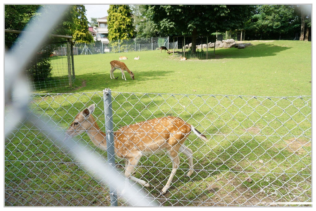 法瑞8日行程｜歐洲火車通行證實際使用記錄。法國瑞士八天火車趴趴走