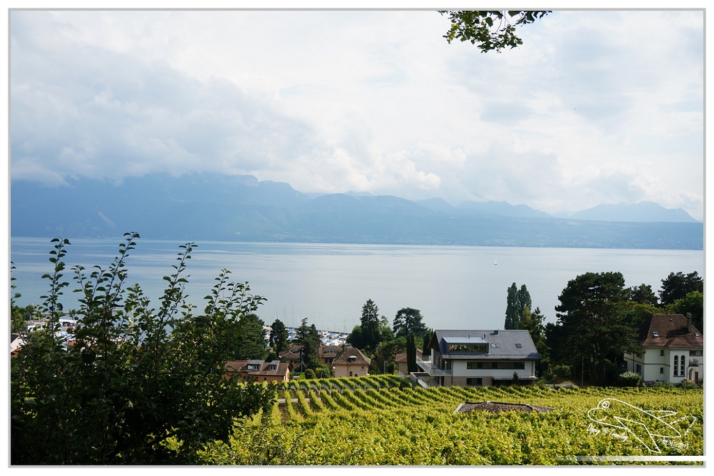 法瑞8日行程｜歐洲火車通行證實際使用記錄。法國瑞士八天火車趴趴走