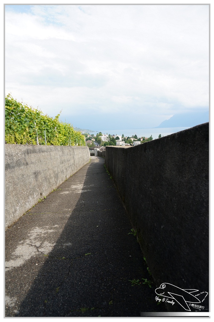 [2014歐洲火車旅行達人]歐鐵pass記旅day5。zermatt–Montreux–vevey–Lausanne–pully。拉沃地區。瑞士自助