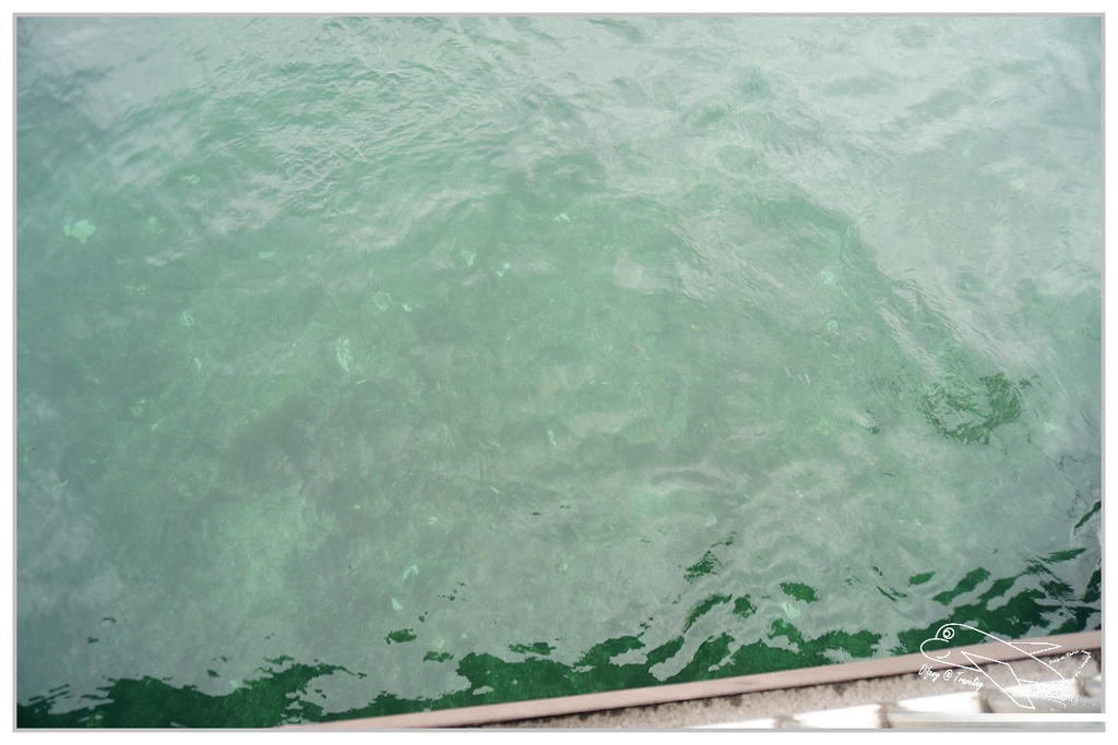 [歐洲火車旅行達人]瑞士日內瓦|日內瓦老城區半日散步。誰說日內瓦不好玩？Jet d’Eau、聖彼耶大教堂～