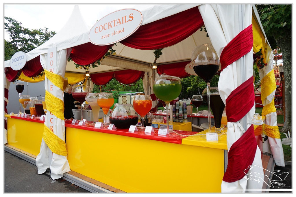 [歐洲火車旅行達人]瑞士日內瓦|日內瓦老城區半日散步。誰說日內瓦不好玩？Jet d’Eau、聖彼耶大教堂～