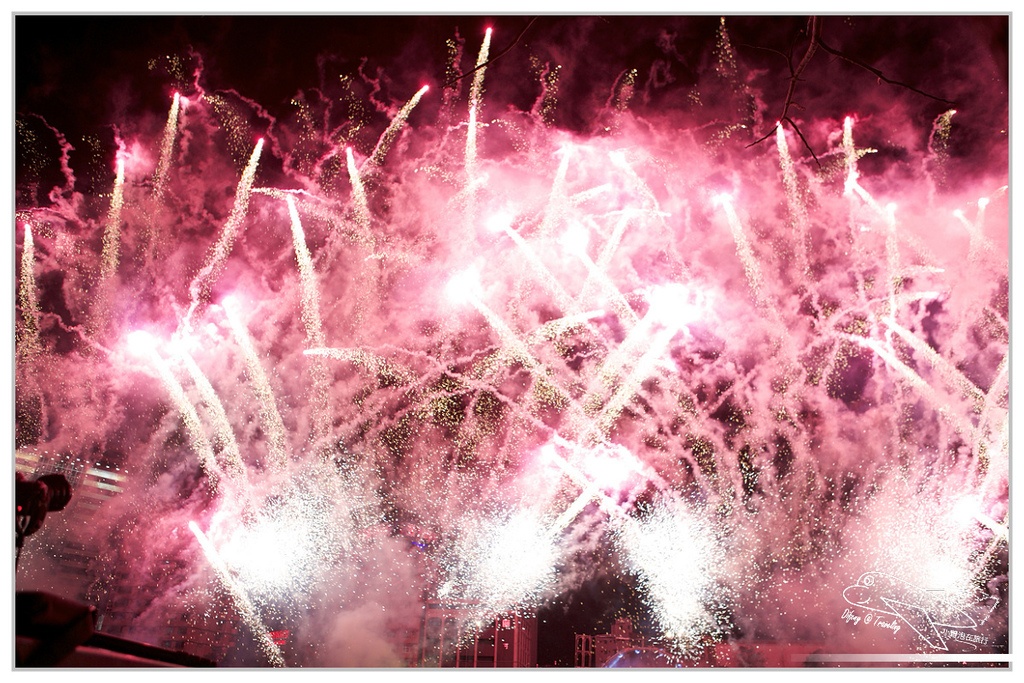 [國內趴趴走。南部]高雄前金|2015高雄愛。幸福燈會開幕煙火。3/5前每個假日晚間21:00都有施放煙火喲～歡迎大家來高雄～加映中央公園「吉祥九九」99隻小綿羊～