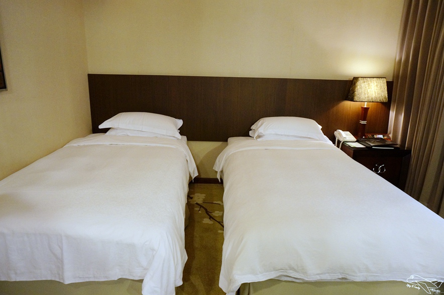 [住。東部]宜蘭礁溪｜推薦溫泉親子戲水樂園spa首選、中冠礁溪大飯店（Art spa hotel）=雪山溫泉飯店（Resort one hotel）。超刺激好玩星河傳說spa溫泉水世界。礁溪方便住宿推薦～主廚餐點超創意好吃～