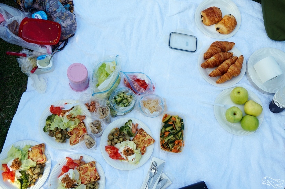 [2015。歐洲漫步]巴黎自助。巴黎鐵塔野餐注意事項～這樣野餐最厲害～