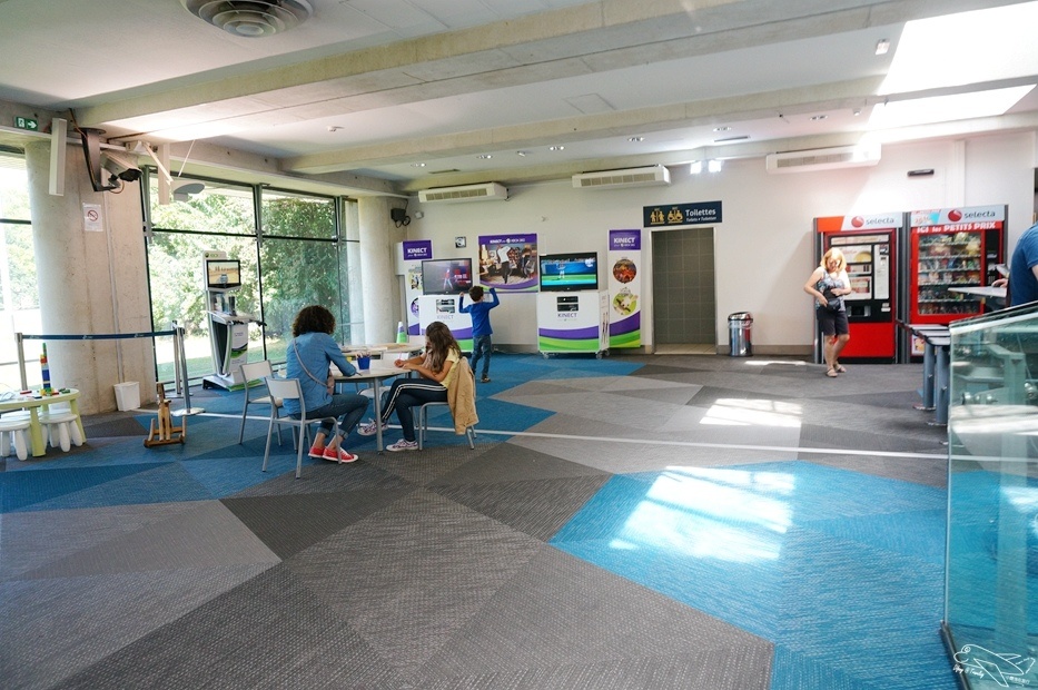 搭歐洲之星到英國倫敦st.pancras international通關記錄～北法里爾移動倫敦聖潘可拉斯車站。