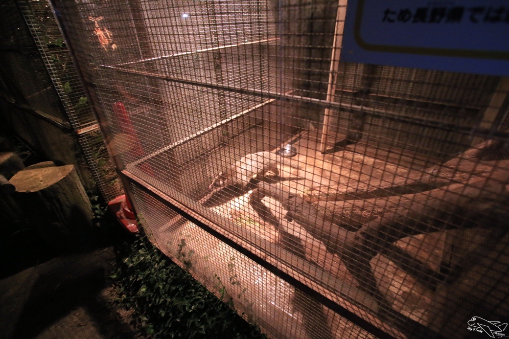 [日本。長野]日本自助親子景點。賞櫻百選之一。須坂動物園、須坂臥龍公園～他們對於孩子的疼愛與信任，超乎我們的想像～