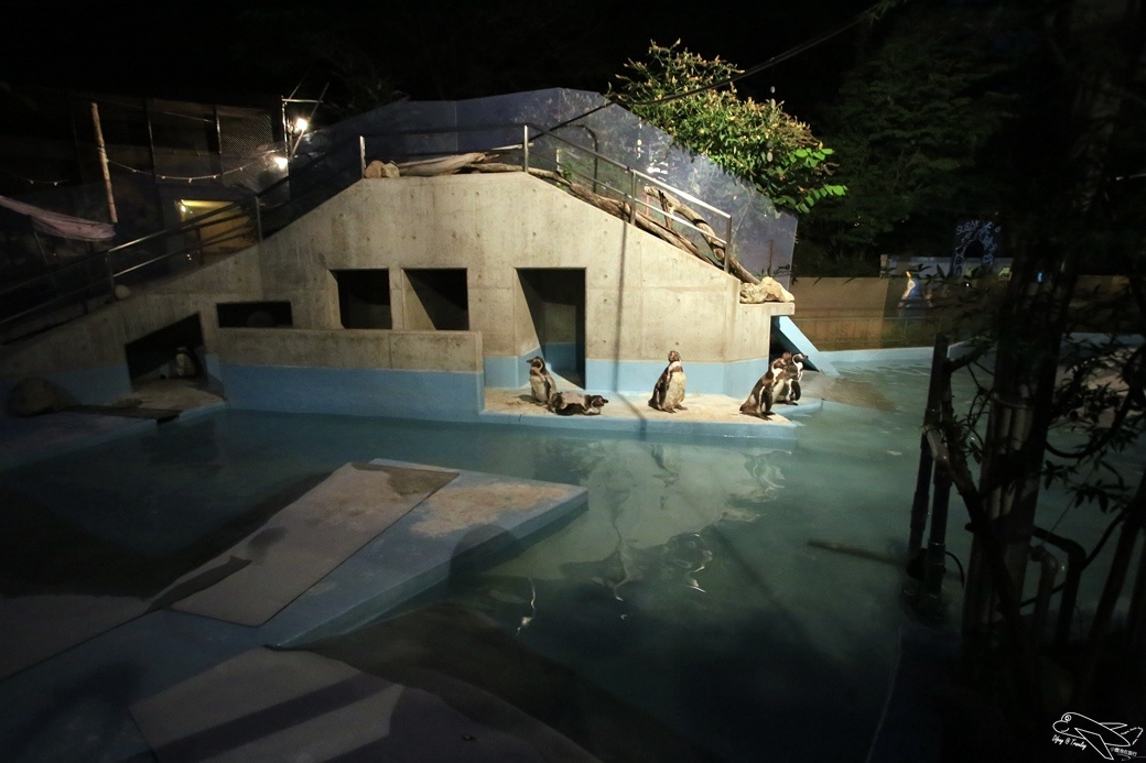 [日本。長野]日本自助親子景點。賞櫻百選之一。須坂動物園、須坂臥龍公園～他們對於孩子的疼愛與信任，超乎我們的想像～