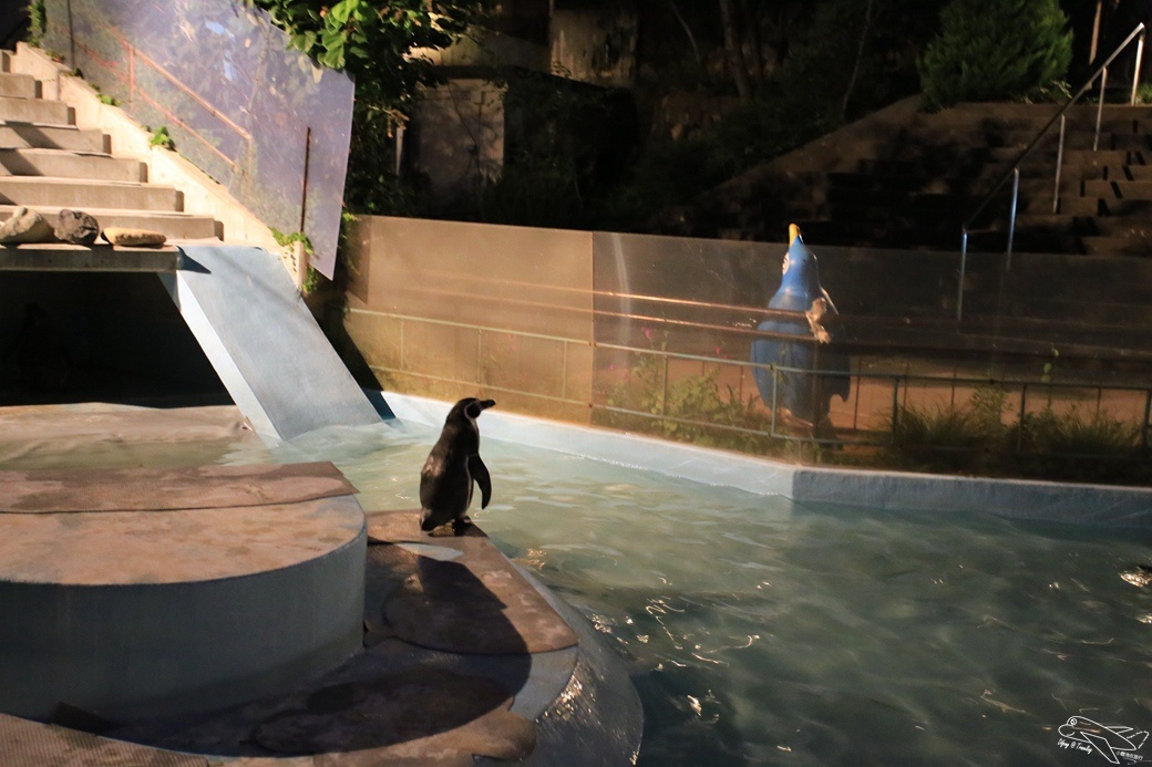 [日本。長野]日本自助親子景點。賞櫻百選之一。須坂動物園、須坂臥龍公園～他們對於孩子的疼愛與信任，超乎我們的想像～