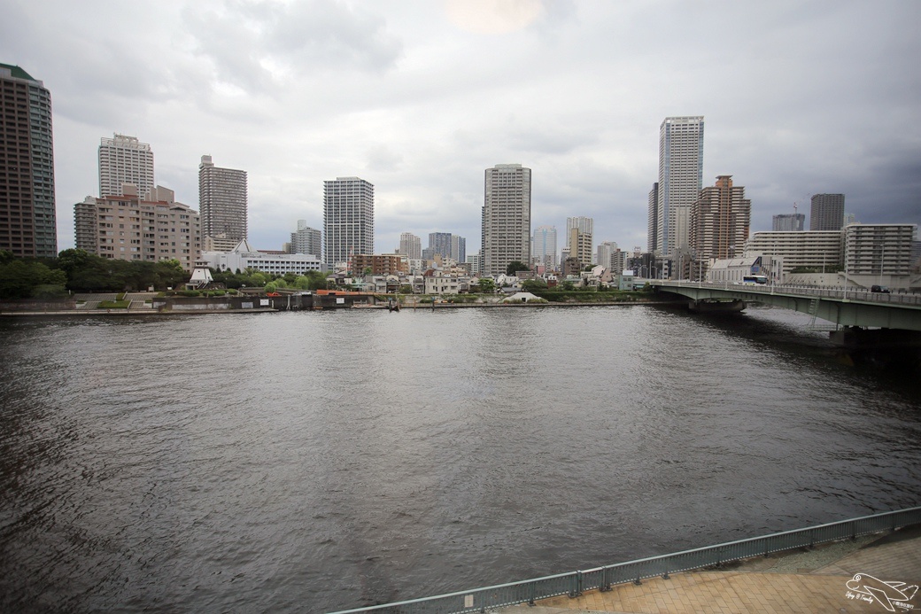 [kkday30天日本試玩員]行程體驗|【東京築地蕎麥教室】開心學做蕎麥麵。最值得體驗、傑尼斯藝人爭相學習的蕎麥麵名師～