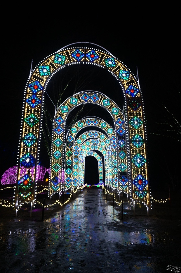 [日本北陸]關西自助親子小旅行行程規劃｜一個人跟團的費用，四個人玩12天日本！機票、行程、住宿、費用、票券、賞雪裝備～總集合！