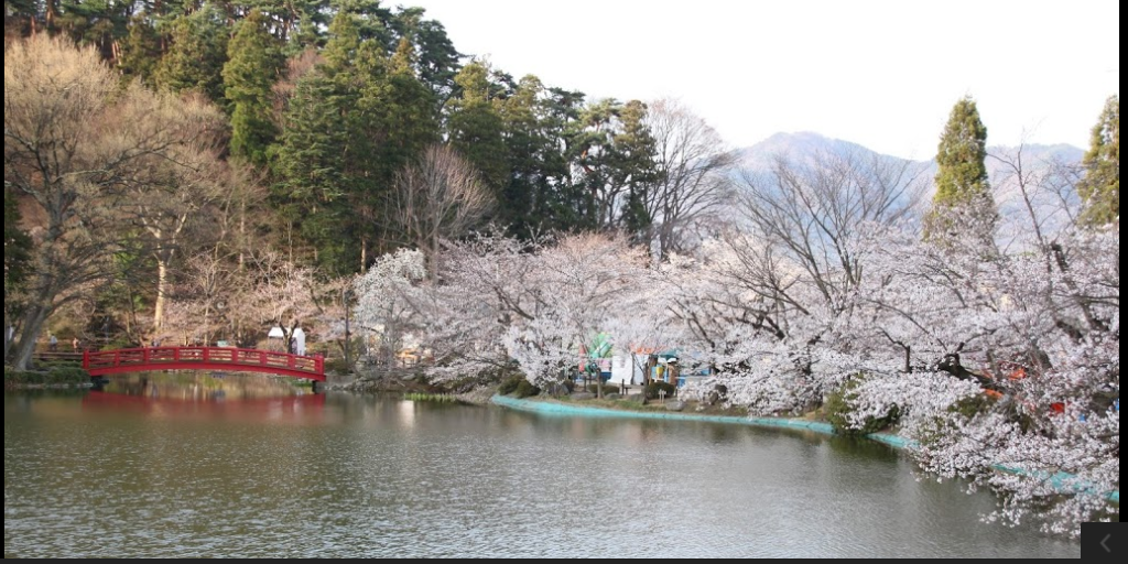 [日本。長野]日本自助親子景點。賞櫻百選之一。須坂動物園、須坂臥龍公園～他們對於孩子的疼愛與信任，超乎我們的想像～