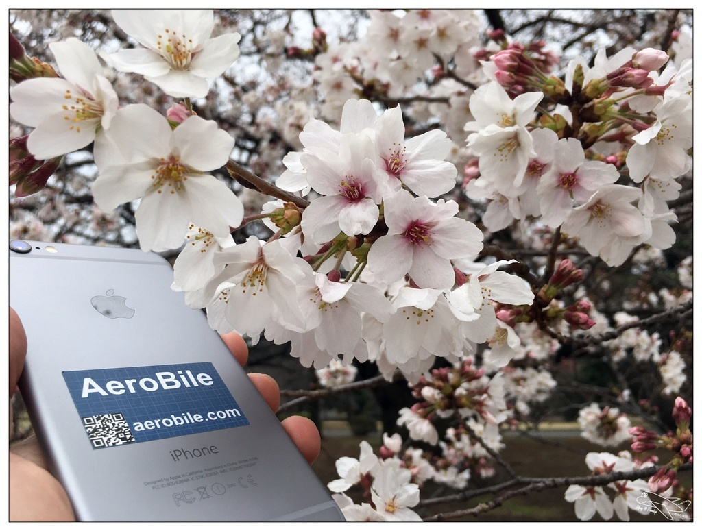 [日本上網]翔翼通訊|全台灣第一隻日本上網速度最快、可通話的iphone租借機（蘋果機）。推薦商務人士可租借參考～