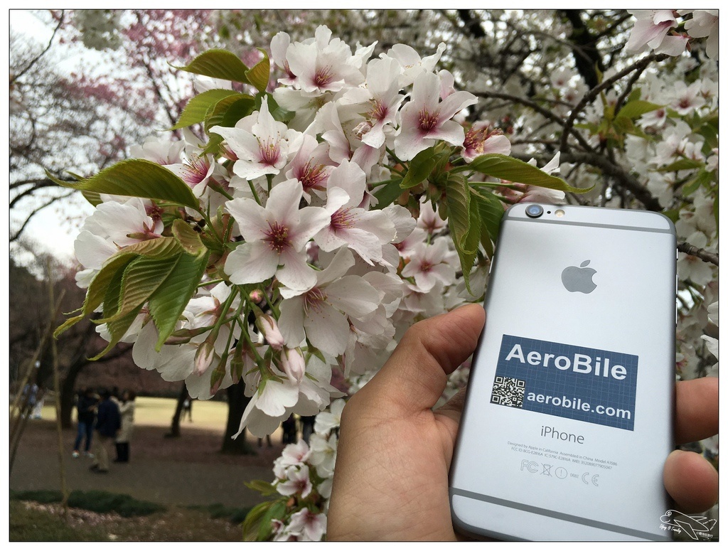 [日本上網]翔翼通訊|全台灣第一隻日本上網速度最快、可通話的iphone租借機（蘋果機）。推薦商務人士可租借參考～