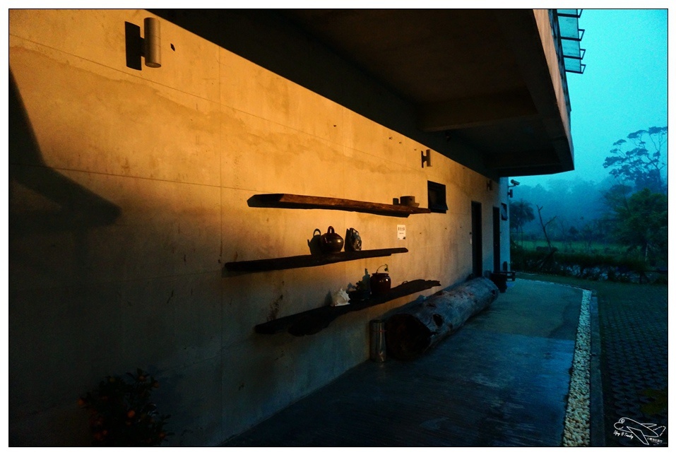 [頭城住宿推薦]蜻蜓石民宿。台灣的烏布仙境民宿。自然、昆蟲、戶外泳池、一泊三食。開放用餐無菜單料理~昆蟲教育活動~