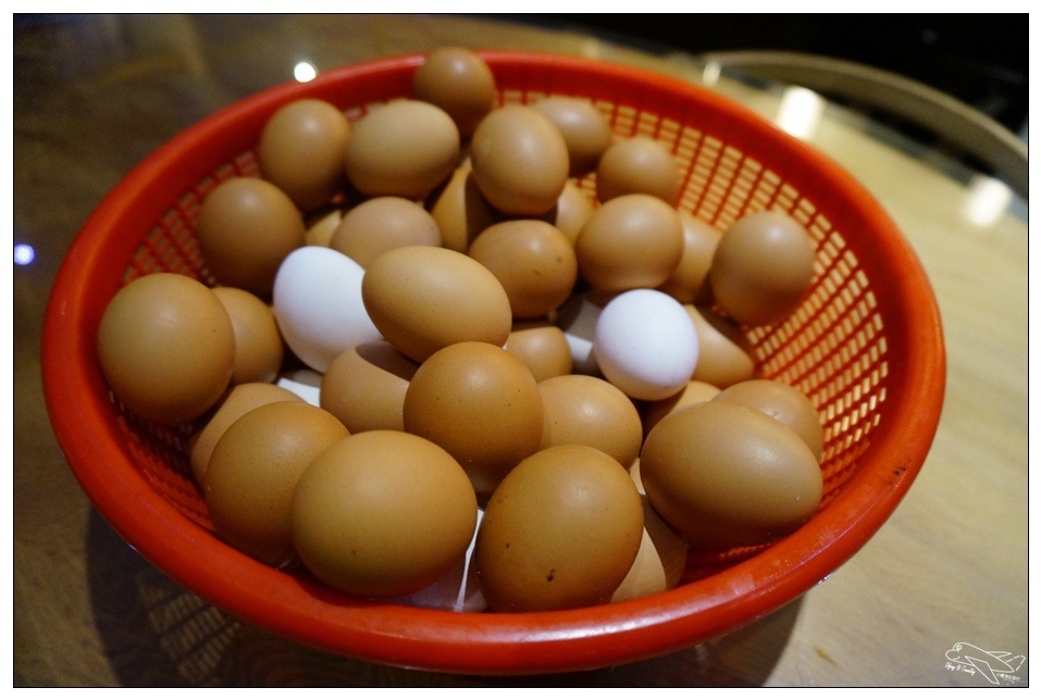 [頭城住宿推薦]蜻蜓石民宿。台灣的烏布仙境民宿。自然、昆蟲、戶外泳池、一泊三食。開放用餐無菜單料理~昆蟲教育活動~