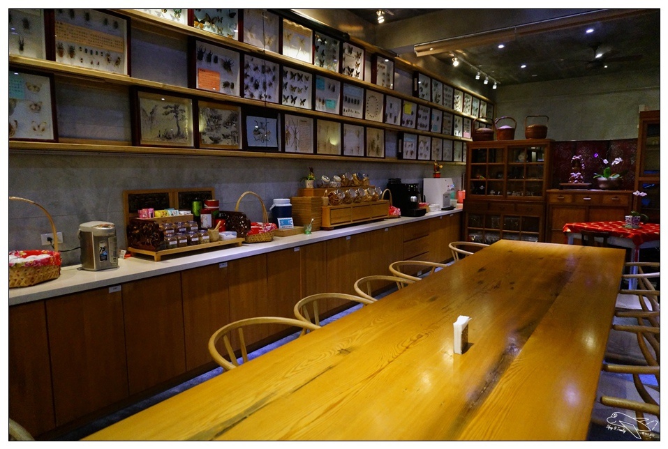 [頭城住宿推薦]蜻蜓石民宿。台灣的烏布仙境民宿。自然、昆蟲、戶外泳池、一泊三食。開放用餐無菜單料理~昆蟲教育活動~