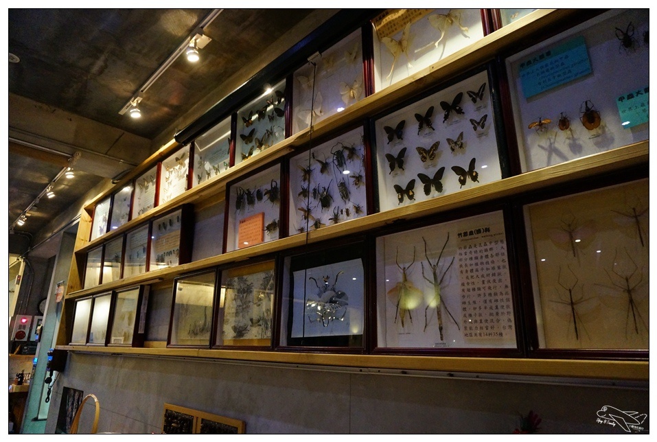 [頭城住宿推薦]蜻蜓石民宿。台灣的烏布仙境民宿。自然、昆蟲、戶外泳池、一泊三食。開放用餐無菜單料理~昆蟲教育活動~