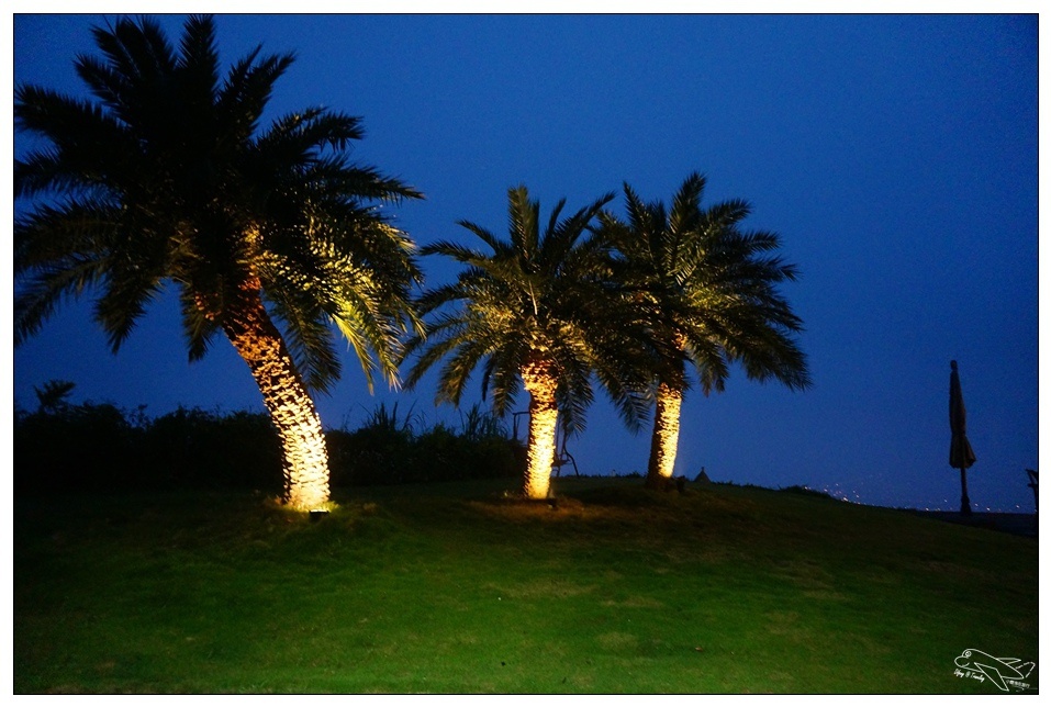 [頭城住宿推薦]蜻蜓石民宿。台灣的烏布仙境民宿。自然、昆蟲、戶外泳池、一泊三食。開放用餐無菜單料理~昆蟲教育活動~