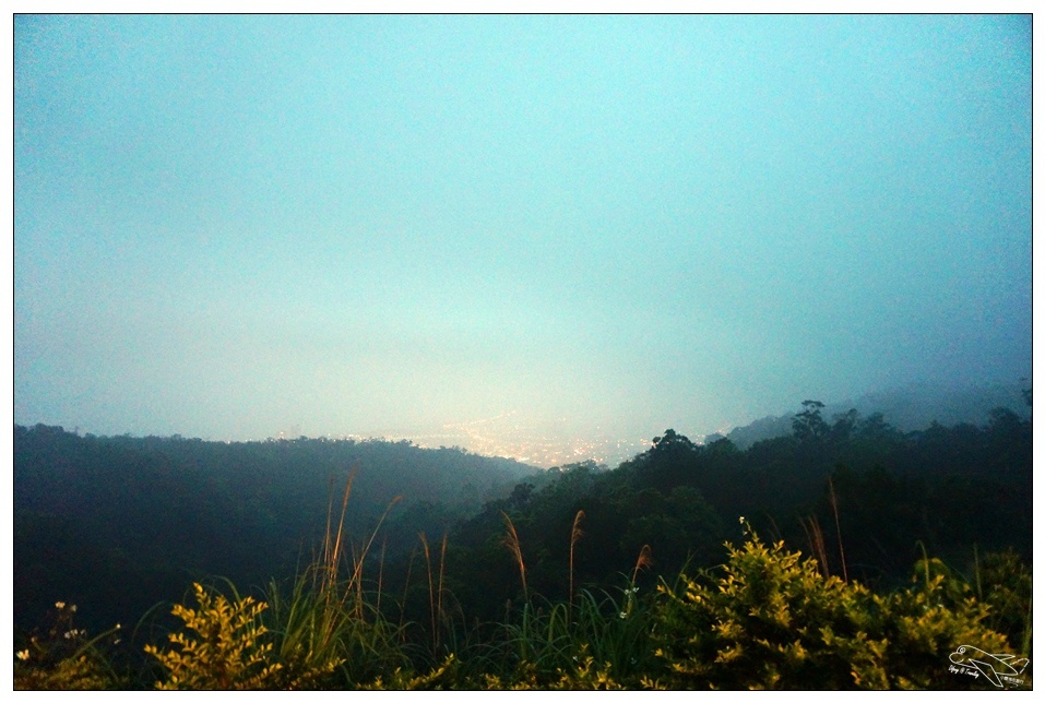 [頭城住宿推薦]蜻蜓石民宿。台灣的烏布仙境民宿。自然、昆蟲、戶外泳池、一泊三食。開放用餐無菜單料理~昆蟲教育活動~