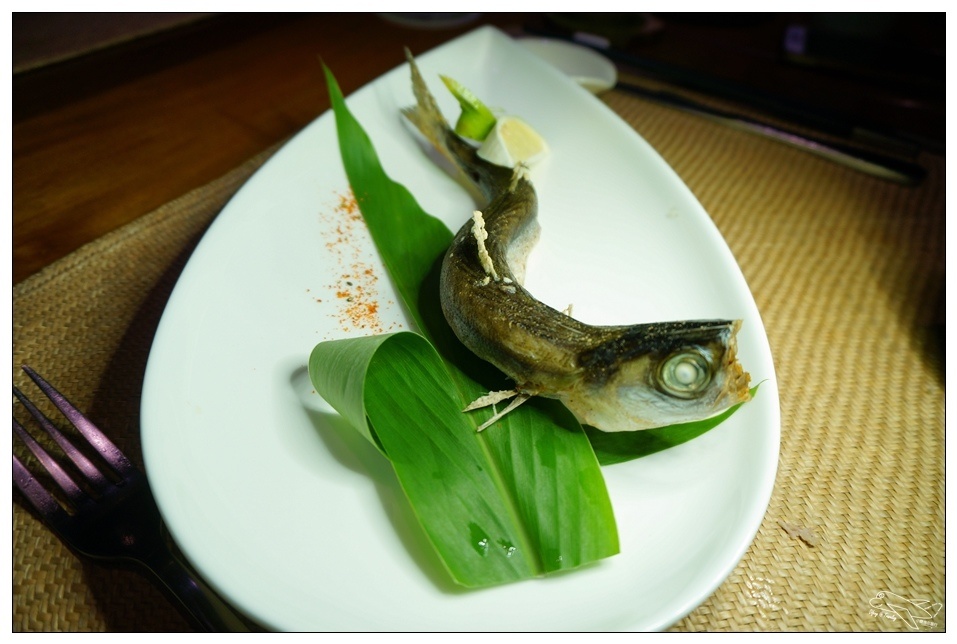 [頭城住宿推薦]蜻蜓石民宿。台灣的烏布仙境民宿。自然、昆蟲、戶外泳池、一泊三食。開放用餐無菜單料理~昆蟲教育活動~