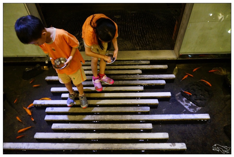 [頭城住宿推薦]蜻蜓石民宿。台灣的烏布仙境民宿。自然、昆蟲、戶外泳池、一泊三食。開放用餐無菜單料理~昆蟲教育活動~