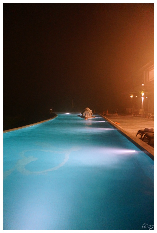 [頭城住宿推薦]蜻蜓石民宿。台灣的烏布仙境民宿。自然、昆蟲、戶外泳池、一泊三食。開放用餐無菜單料理~昆蟲教育活動~