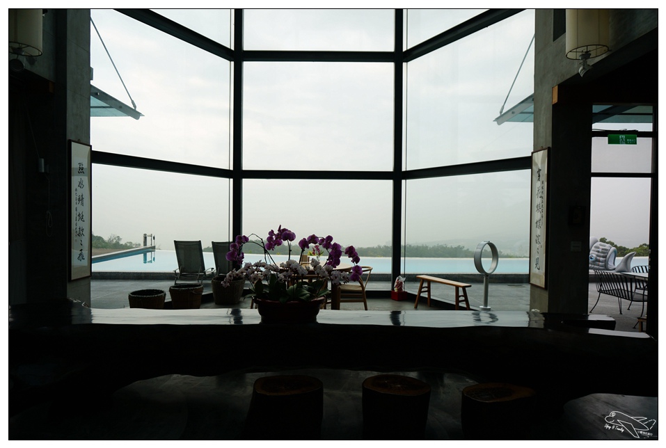 [頭城住宿推薦]蜻蜓石民宿。台灣的烏布仙境民宿。自然、昆蟲、戶外泳池、一泊三食。開放用餐無菜單料理~昆蟲教育活動~