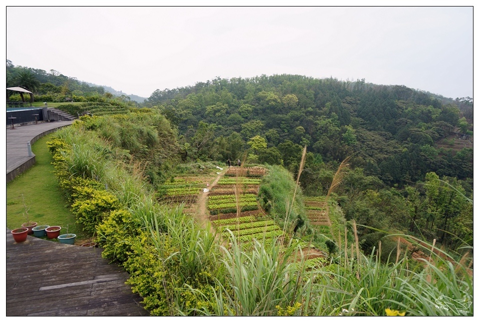 [頭城住宿推薦]蜻蜓石民宿。台灣的烏布仙境民宿。自然、昆蟲、戶外泳池、一泊三食。開放用餐無菜單料理~昆蟲教育活動~