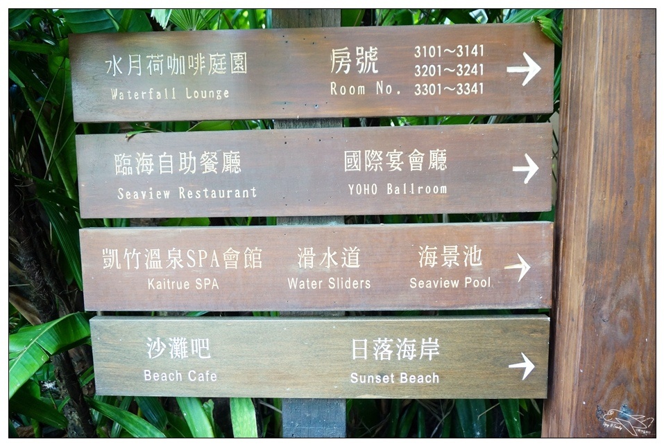 [墾丁親子飯店]2016悠活主題夏令營YOHO BEACH RESORT。台灣clubmed，精緻夏令營參與記錄～阿信巧克力農場、台菜料理王餐廳、萬里桐海邊觀星