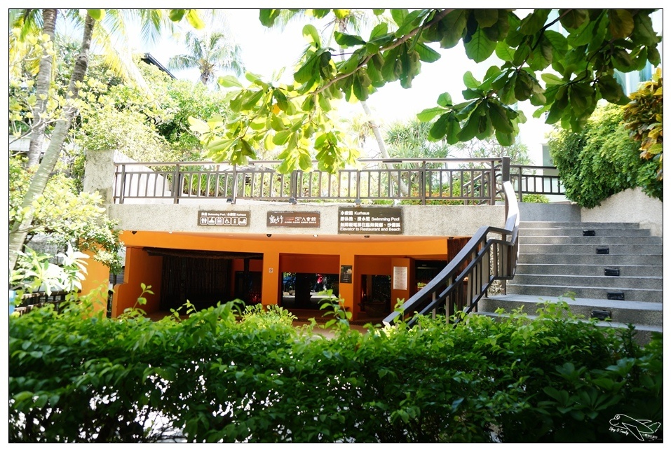 [墾丁親子飯店]2016悠活主題夏令營YOHO BEACH RESORT。台灣clubmed，精緻夏令營參與記錄～阿信巧克力農場、台菜料理王餐廳、萬里桐海邊觀星