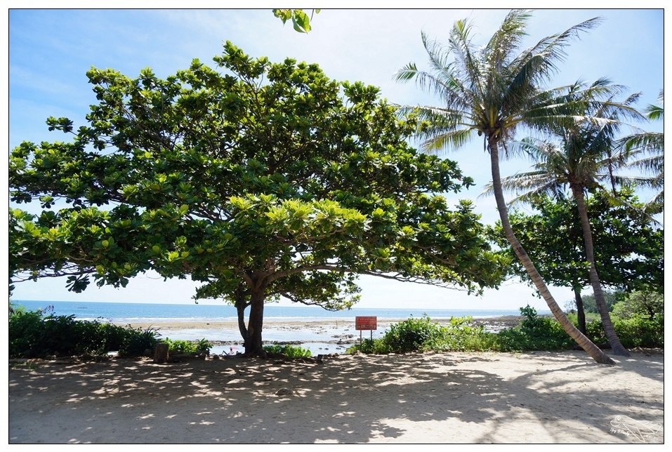 [墾丁親子飯店]2016悠活主題夏令營YOHO BEACH RESORT。台灣clubmed，精緻夏令營參與記錄～阿信巧克力農場、台菜料理王餐廳、萬里桐海邊觀星