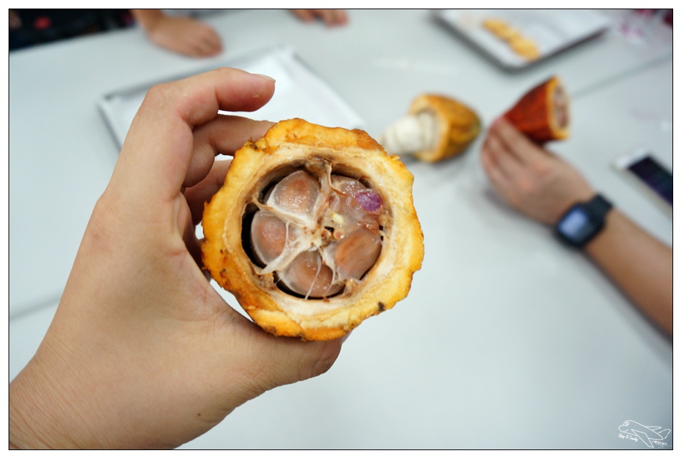 [墾丁親子飯店]2016悠活主題夏令營YOHO BEACH RESORT。台灣clubmed，精緻夏令營參與記錄～阿信巧克力農場、台菜料理王餐廳、萬里桐海邊觀星