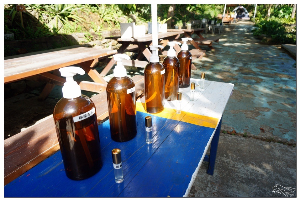 [墾丁親子飯店]2016悠活主題夏令營YOHO BEACH RESORT。台灣clubmed，精緻夏令營參與記錄～阿信巧克力農場、台菜料理王餐廳、萬里桐海邊觀星