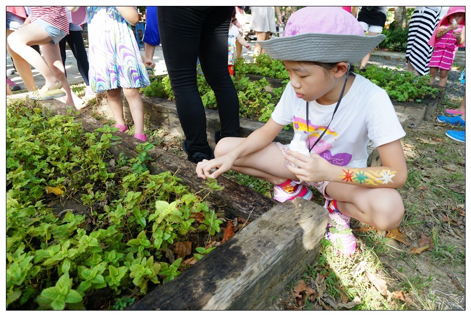 [墾丁親子飯店]2016悠活主題夏令營YOHO BEACH RESORT。台灣clubmed，精緻夏令營參與記錄～阿信巧克力農場、台菜料理王餐廳、萬里桐海邊觀星