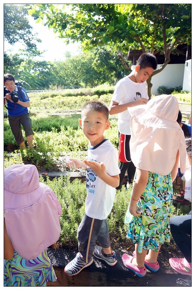 [墾丁親子飯店]2016悠活主題夏令營YOHO BEACH RESORT。台灣clubmed，精緻夏令營參與記錄～阿信巧克力農場、台菜料理王餐廳、萬里桐海邊觀星