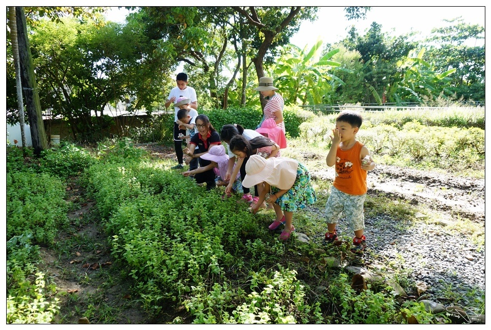 [墾丁親子飯店]2016悠活主題夏令營YOHO BEACH RESORT。台灣clubmed，精緻夏令營參與記錄～阿信巧克力農場、台菜料理王餐廳、萬里桐海邊觀星
