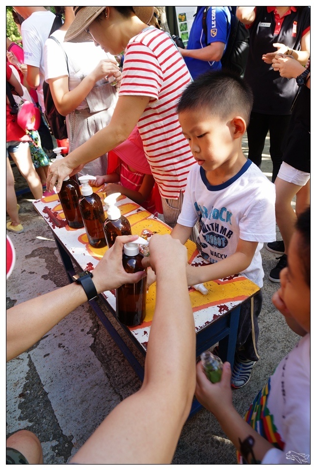 [墾丁親子飯店]2016悠活主題夏令營YOHO BEACH RESORT。台灣clubmed，精緻夏令營參與記錄～阿信巧克力農場、台菜料理王餐廳、萬里桐海邊觀星