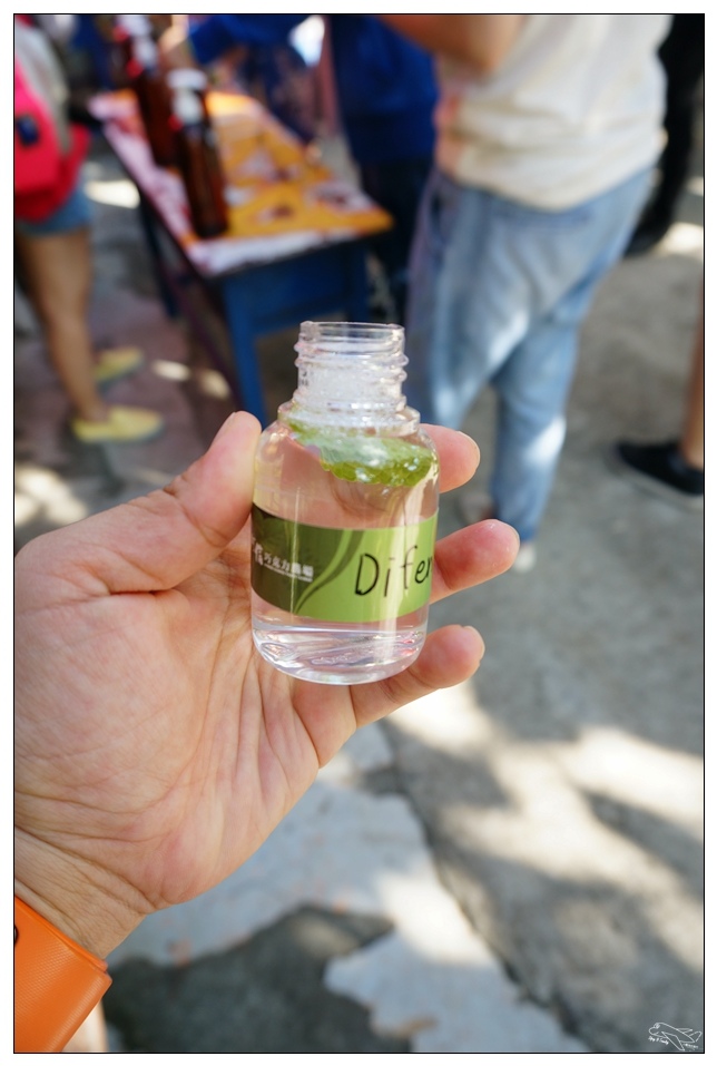 [墾丁親子飯店]2016悠活主題夏令營YOHO BEACH RESORT。台灣clubmed，精緻夏令營參與記錄～阿信巧克力農場、台菜料理王餐廳、萬里桐海邊觀星