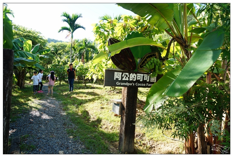 [墾丁親子飯店]2016悠活主題夏令營YOHO BEACH RESORT。台灣clubmed，精緻夏令營參與記錄～阿信巧克力農場、台菜料理王餐廳、萬里桐海邊觀星