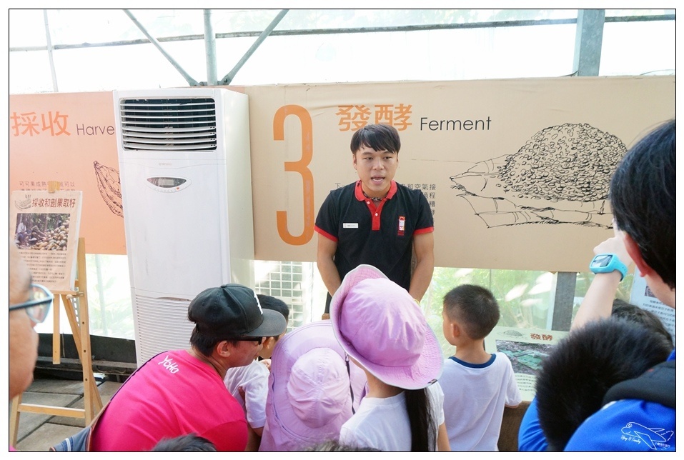 [墾丁親子飯店]2016悠活主題夏令營YOHO BEACH RESORT。台灣clubmed，精緻夏令營參與記錄～阿信巧克力農場、台菜料理王餐廳、萬里桐海邊觀星